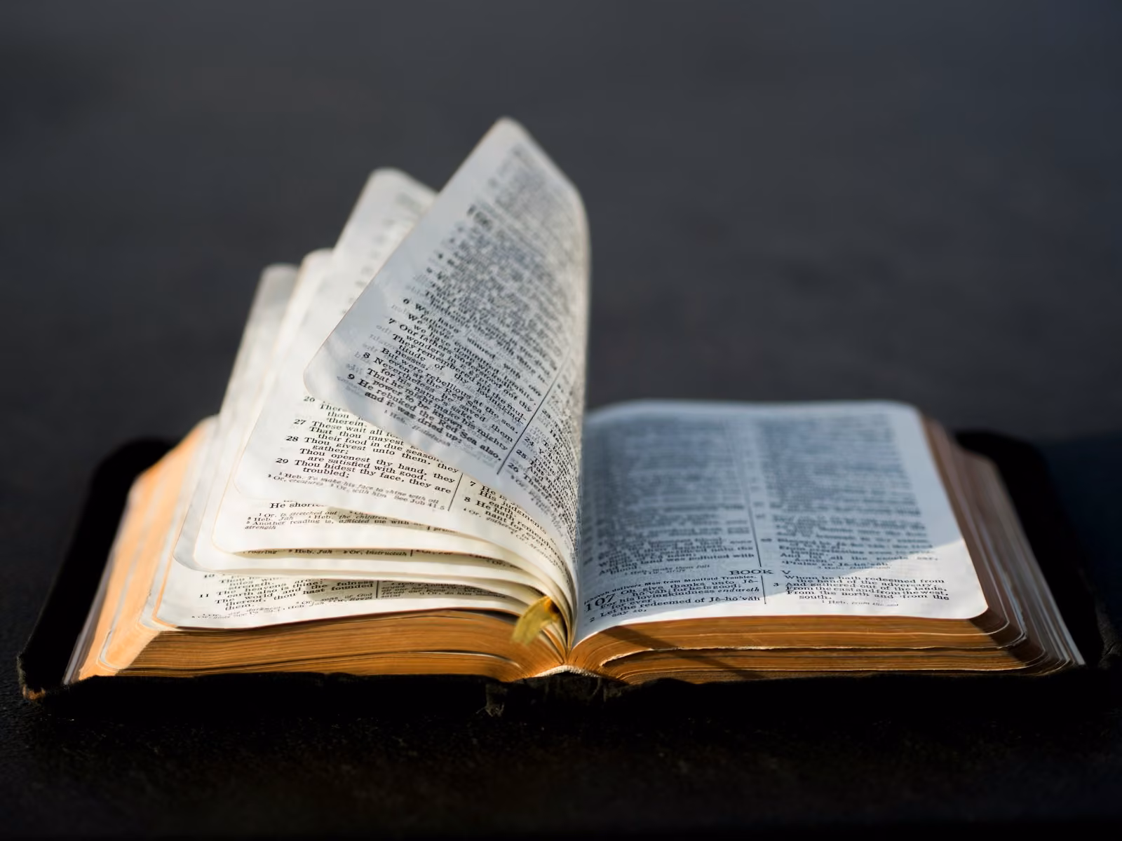 Open reference book of definitions